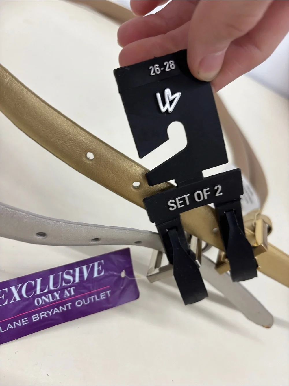 NWT Lane Bryant Set of 2 Skinny Belts - Gold & Silver